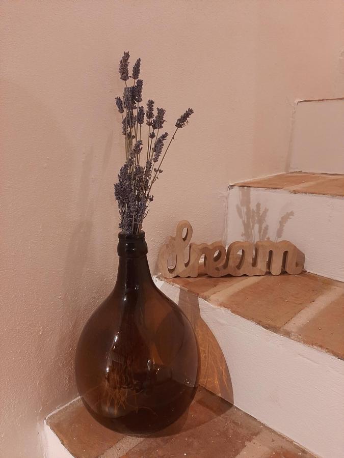 Ferienwohnung Casa Nonna Tereza Premantura Exterior foto